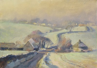 Mroźne pola, Aston, 1991 autorstwa Trevor Chamberlain